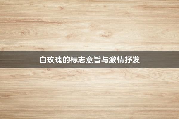 白玫瑰的标志意旨与激情抒发