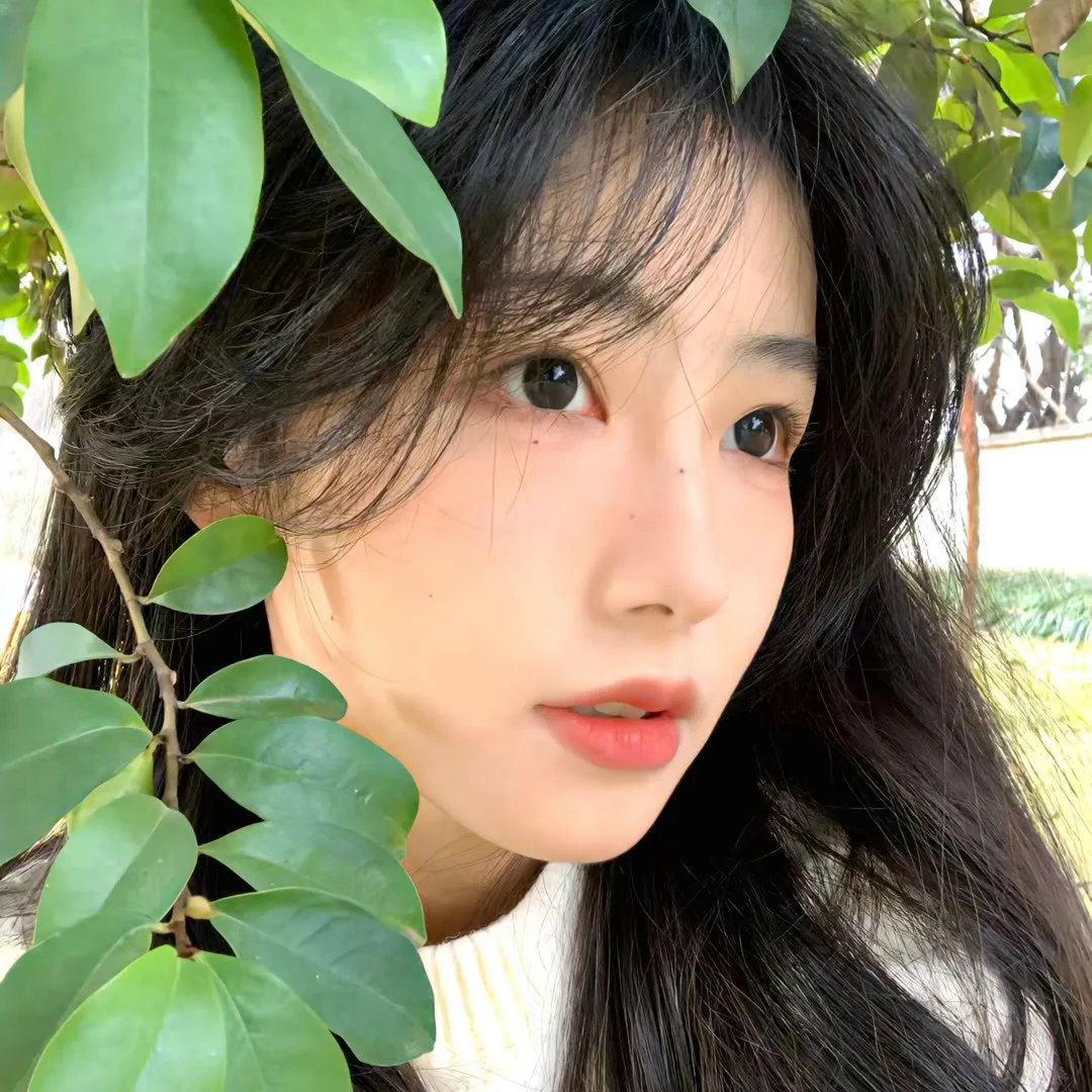 格蕾丝的堕落